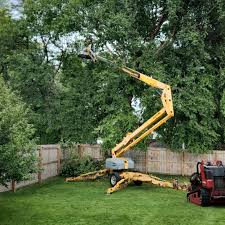 Best Tree and Shrub Care  in Rock Falls, IL